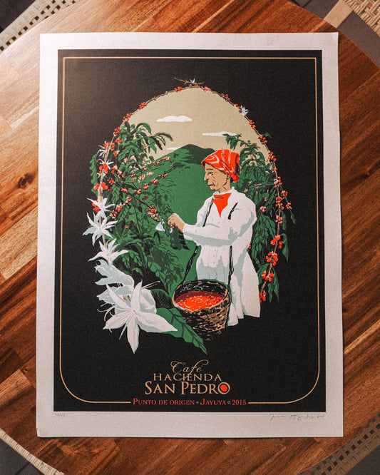 Coffee Picker Serigraphy / Serígrafia de Recogedora de Café
